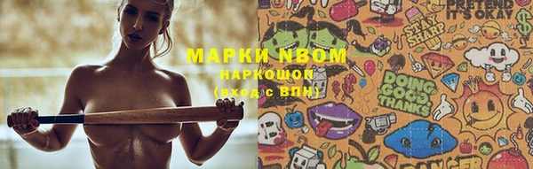 гидропоника Белокуриха