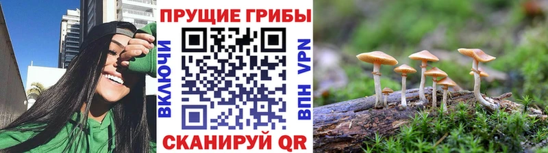 цены наркотик Верхняя Тура Галлюциногенные грибы Magic Shrooms